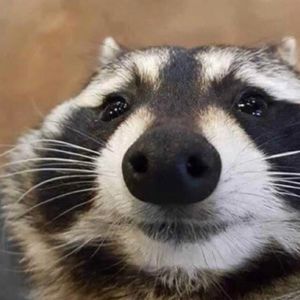 Meet your Posher, Angel